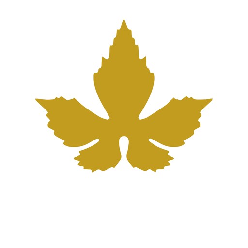 Maistrov Pub Kviz logo