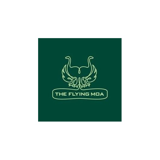 Weekly Pub Quiz at The Flying Moa logo