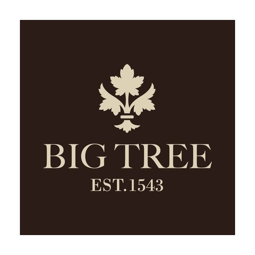 The Big Tree Quiz Night logo