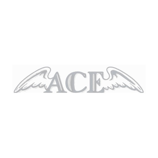 Tuesday Trivia Night at Ace Bar logo