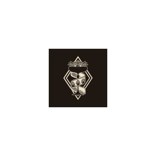 PubQuiz w Schodach logo